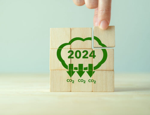 Buoni propositi green per il 2024!